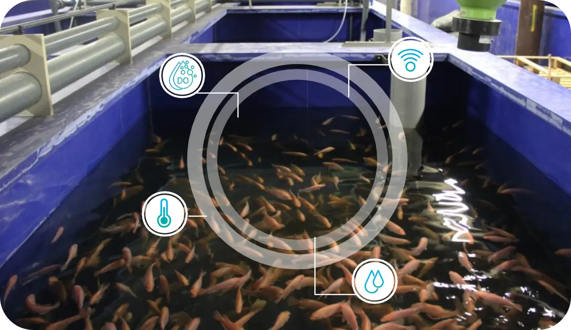 Smart Fishery